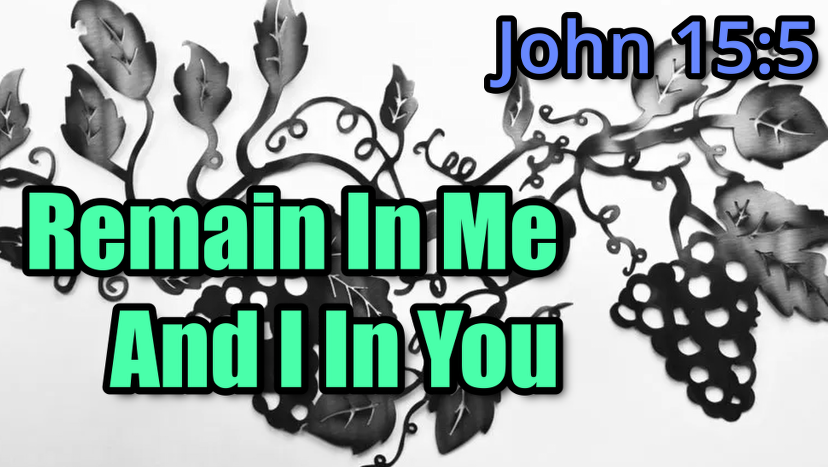 You are currently viewing John 15:5 I Am The Vine, You Are The Branch.